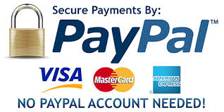 paypal payment